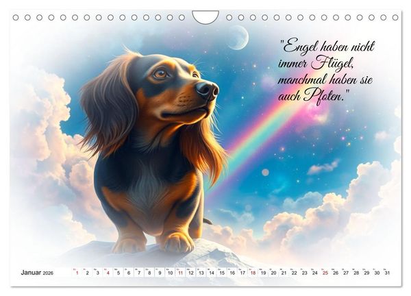 Produktbild: Hunde &uuml;ber der Regenbogenbr&uuml;cke (Wandkalender 2026 DIN A4 quer), CALVENDO Monatskalender