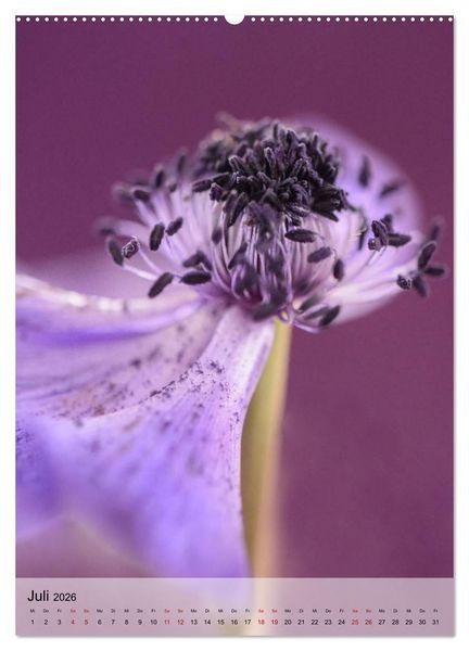 Produktbild: Fr&uuml;hlingsreif (Wandkalender 2026 DIN A2 hoch), CALVENDO Monatskalender