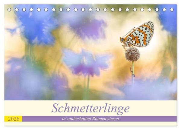 Schmetterlinge in zauberhaften Blumenwiesen (Tischkalender 2026 DIN A5 quer), CALVENDO Monatskalender