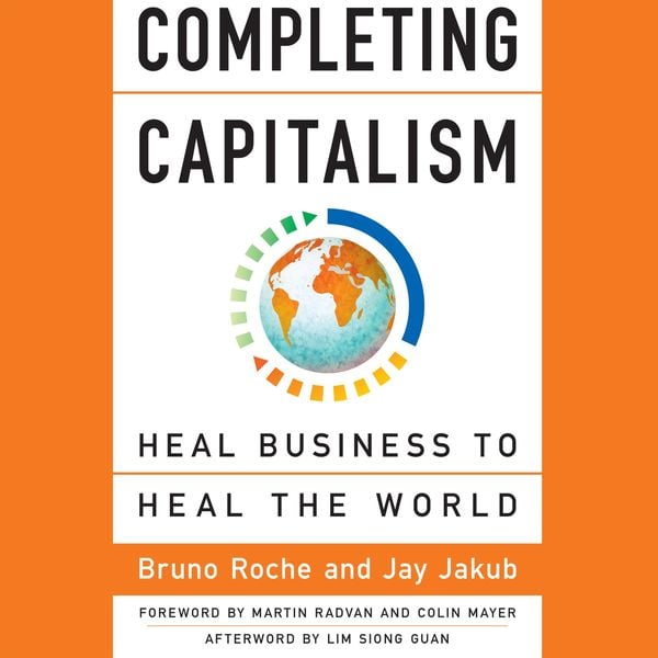 Completing Capitalism - Bruno Roche,Jay Jakub, Audio, 9781626569263