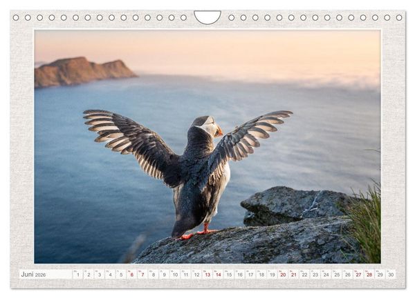 Produktbild: Die kleinen sch&ouml;nen (Wandkalender 2026 DIN A4 quer), CALVENDO Monatskalender