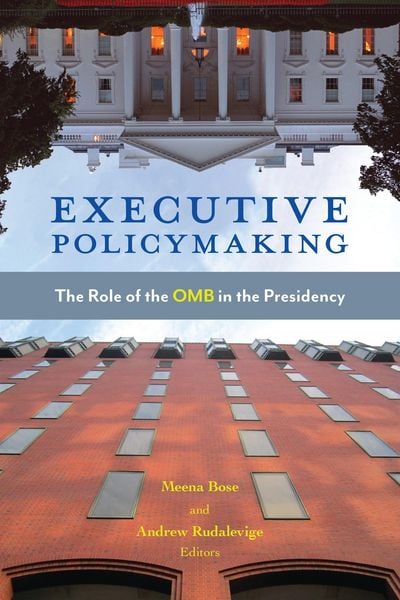 Produktbild: Executive Policymaking