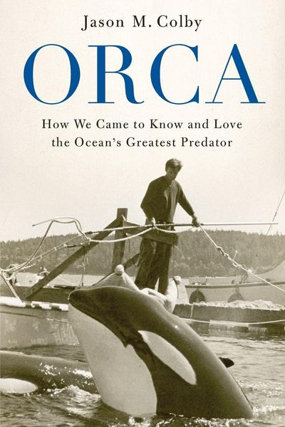 Produktbild: Orca