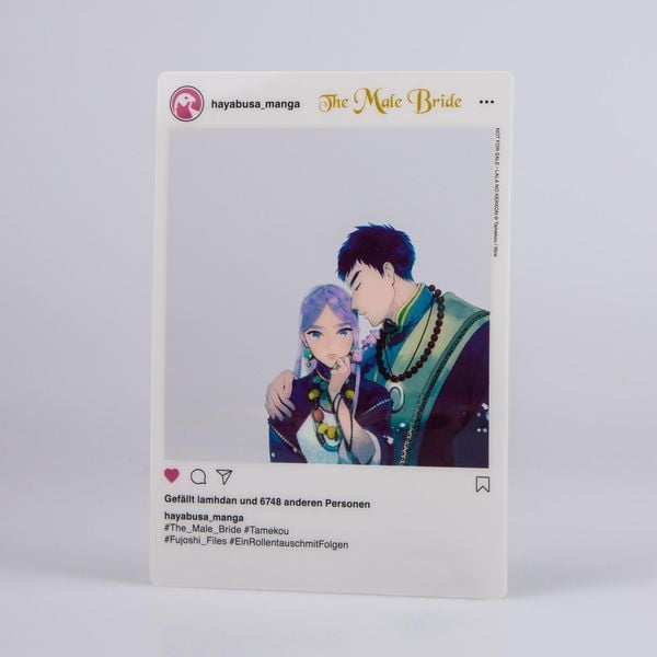Produktbild: The Male Bride 1