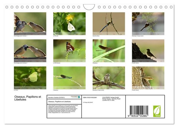 Produktbild: Oiseaux, Papillons et Libellules (Calendrier mural 2026 DIN A4 vertical), CALVENDO calendrier mensuel