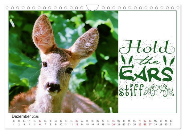 Produktbild: Tierisch Denglisch (Wandkalender 2026 DIN A4 quer), CALVENDO Monatskalender