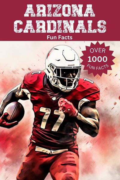 Produktbild: Arizona Cardinals Fun Facts
