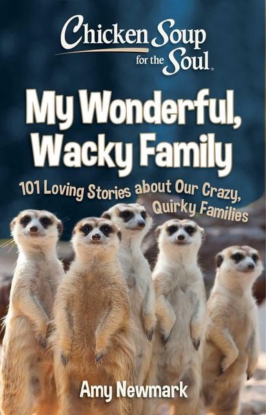 Produktbild: Chicken Soup for the Soul: My Wonderful, Wacky Family
