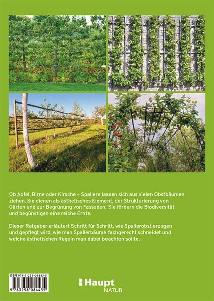 Produktbild: Spalierobst