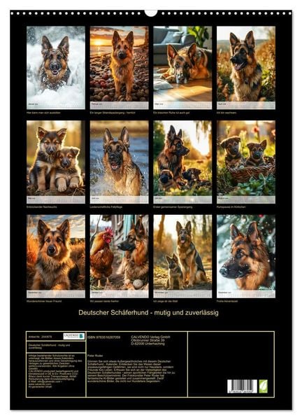 Produktbild: Deutscher Sch&auml;ferhund - mutig und zuverl&auml;ssig (Wandkalender 2026 DIN A2 hoch), CALVENDO Monatskalender