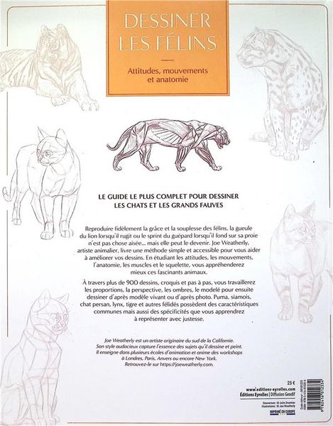 Produktbild: Dessiner les felins