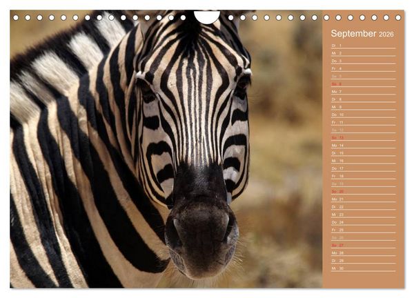 Produktbild: Afrika - Faszinierende Tierwelt (Wandkalender 2026 DIN A4 quer), CALVENDO Monatskalender