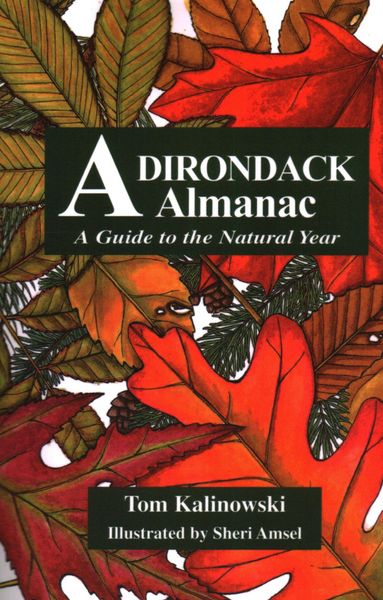 Produktbild: Adirondack Almanac