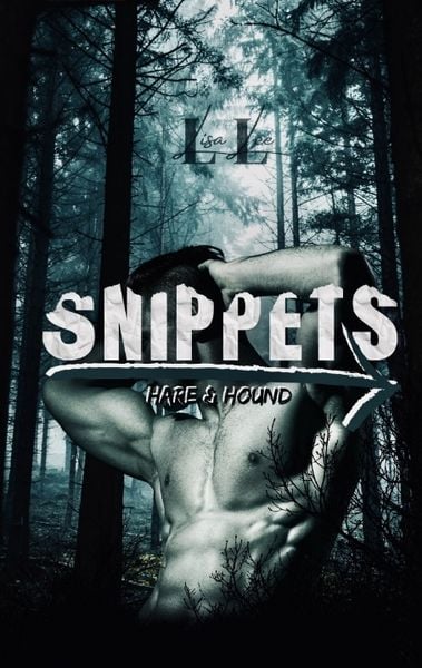 Produktbild: Snippets