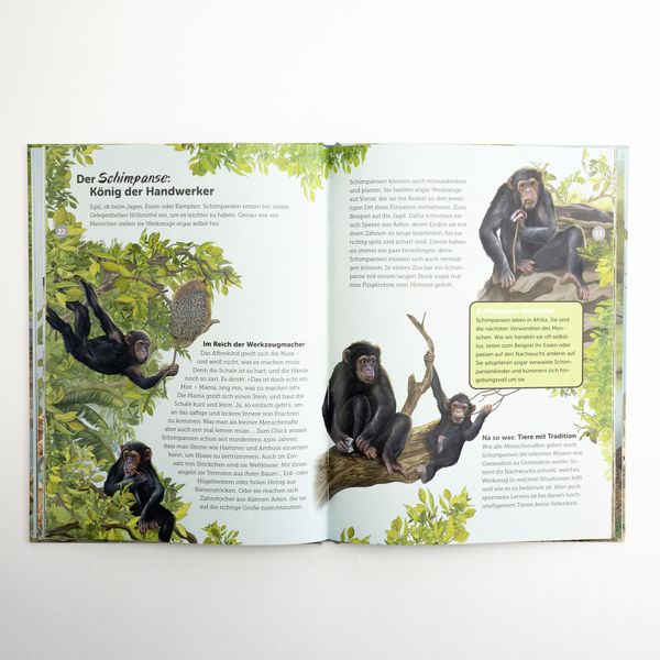 Produktbild: Die Werkzeugkiste der Tiere