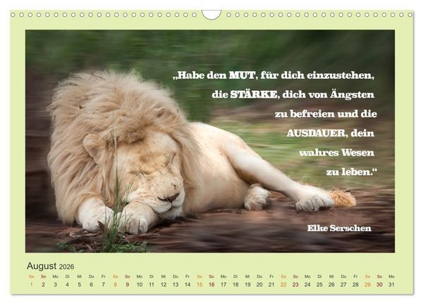 Produktbild: Co-Kreation, Gemeinsam Wunder erschaffen (Wandkalender 2026 DIN A3 quer), CALVENDO Monatskalender