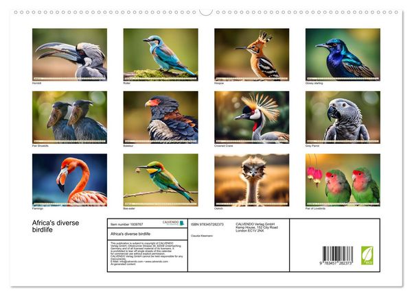 Produktbild: Africa's diverse birdlife (High Quality Premium Wall Calendar 2026 DIN A2 landscape),CALVENDO 12 Month Wall Calendar