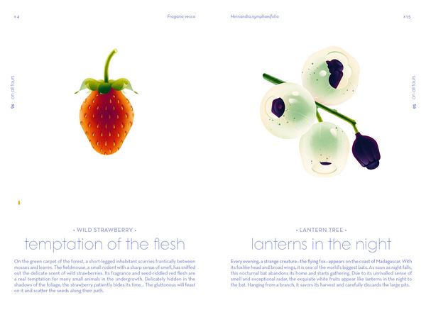Produktbild: Seeds