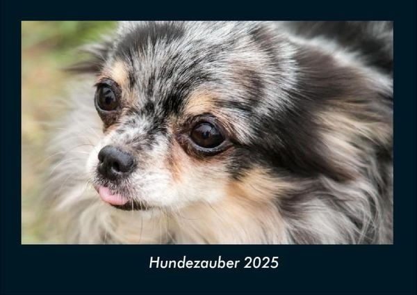 Produktbild: Hundezauber 2025 Fotokalender DIN A4