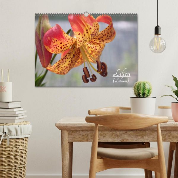 Produktbild: Lilien (Lilium) (Wandkalender 2026 DIN A3 quer), CALVENDO Monatskalender