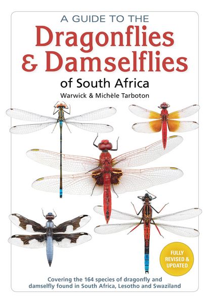 Produktbild: A Guide to the Dragonflies and Damselflies of South Africa