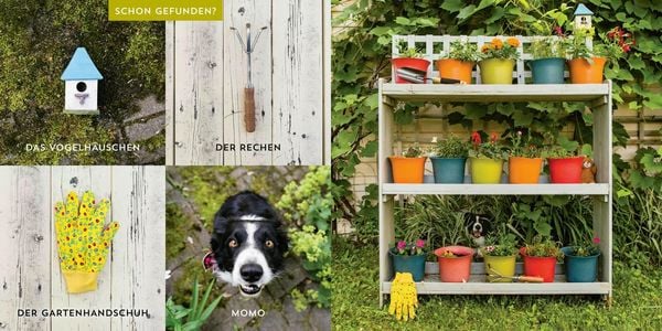 Produktbild: Wo ist Momo?