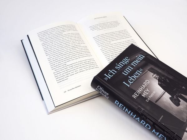 Produktbild: "Ich singe um mein Leben". Reinhard Mey &ndash; ein Portr&auml;t