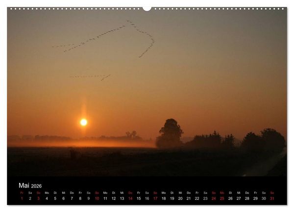 Produktbild: Kranich-Land Brandenburg (hochwertiger Premium Wandkalender 2026 DIN A2 quer), Kunstdruck in Hochglanz