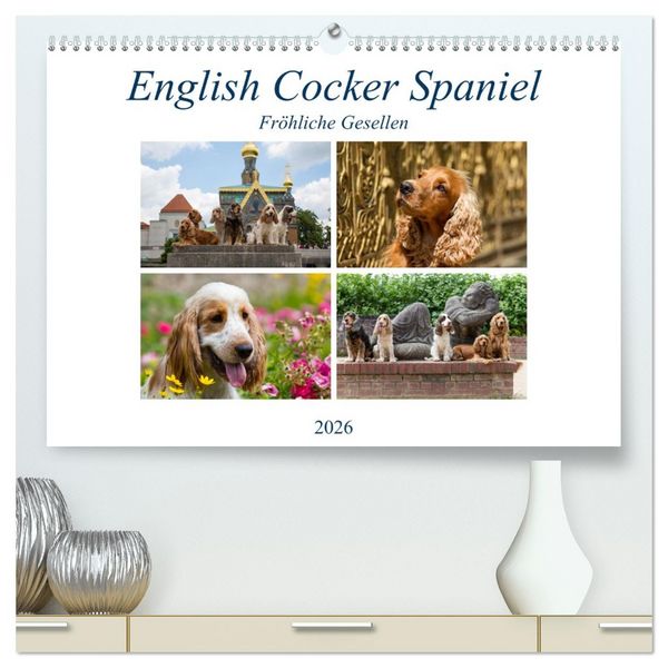 Produktbild: English Cocker Spaniel - Fr&ouml;hliche Gesellen (hochwertiger Premium Wandkalender 2026 DIN A2 quer), Kunstdruck in Hochglanz