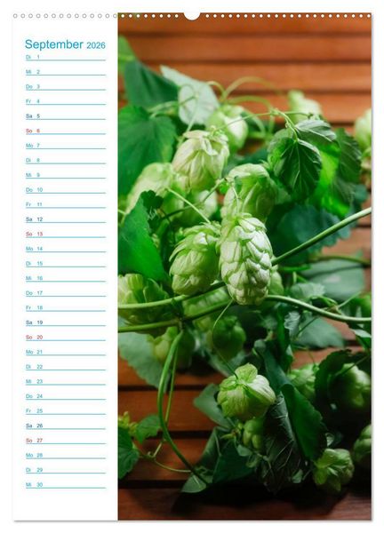 Produktbild: Bier (hochwertiger Premium Wandkalender 2026 DIN A2 hoch), Kunstdruck in Hochglanz