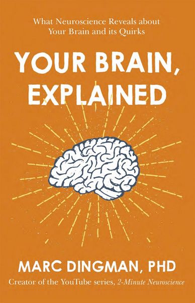 Produktbild: Your Brain, Explained