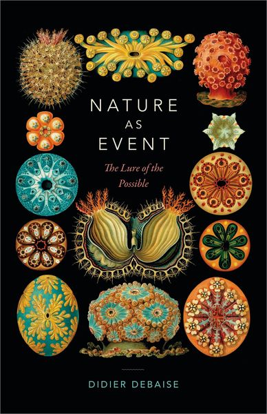 Produktbild: Nature as Event