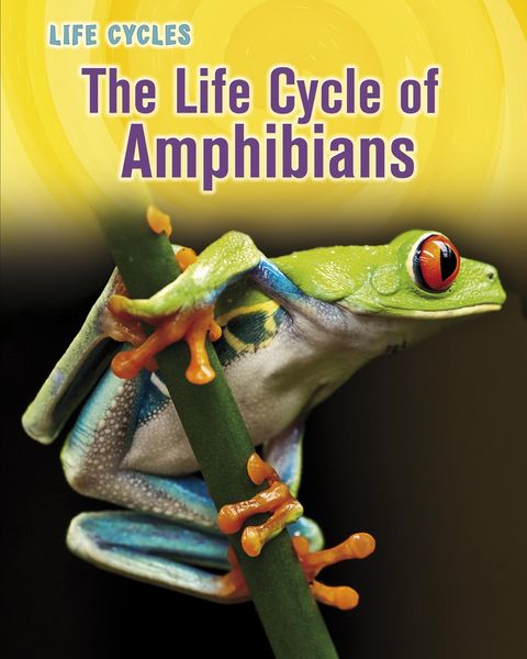 Produktbild: Life Cycle of Amphibians