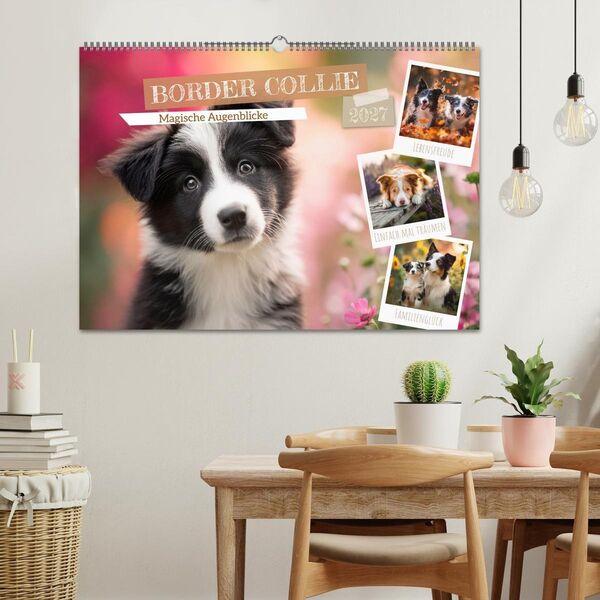Produktbild: Border Collie - Magische Augenblicke (Wandkalender 2027 DIN A2 quer), CALVENDO Monatskalender
