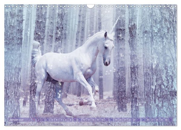 Produktbild: Einhorn Love - Fantasiewelt (Wandkalender 2026 DIN A3 quer), CALVENDO Monatskalender