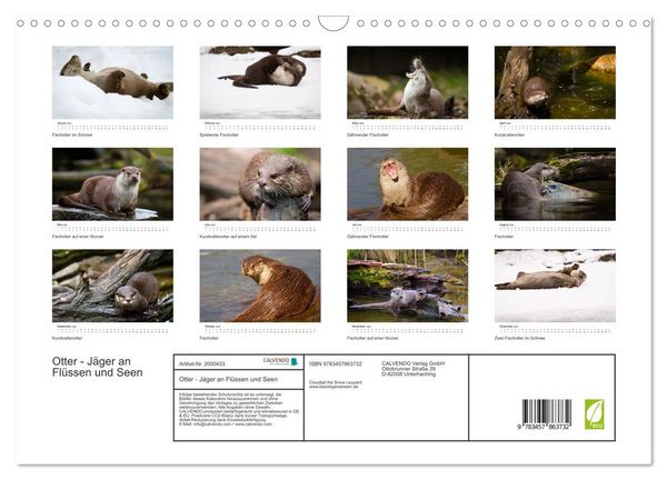 Produktbild: Otter - J&auml;ger an Fl&uuml;ssen und Seen (Wandkalender 2026 DIN A3 quer), CALVENDO Monatskalender