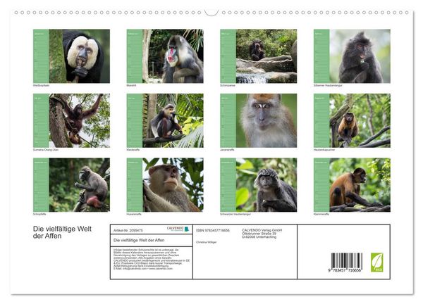 Produktbild: Die vielf&auml;ltige Welt der Affen (hochwertiger Premium Wandkalender 2026 DIN A2 quer), Kunstdruck in Hochglanz