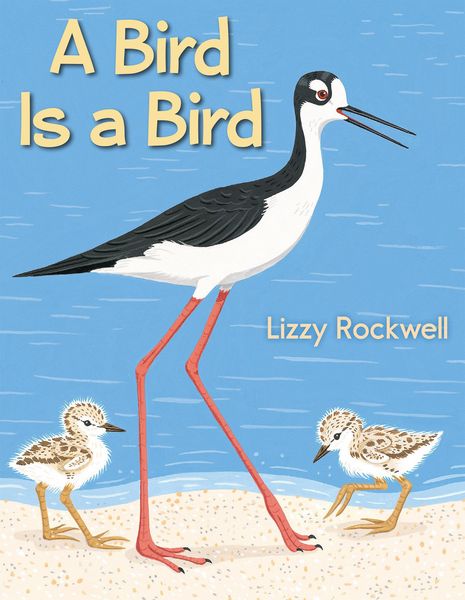 Produktbild: Bird Is a Bird