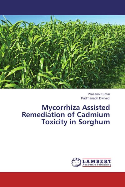 Produktbild: Mycorrhiza Assisted Remediation of Cadmium Toxicity in Sorghum