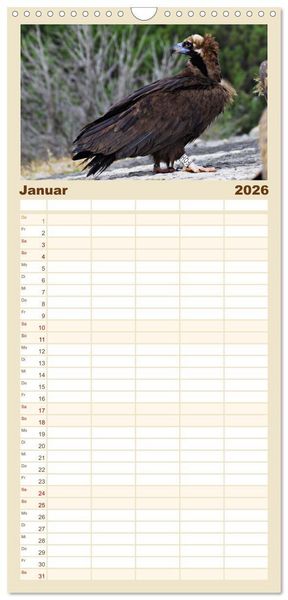 Produktbild: Familienplaner 2026 - Geier - die Gesundheitspolizei! mit 5 Spalten (Wandkalender, 21 x 45 cm) CALVENDO