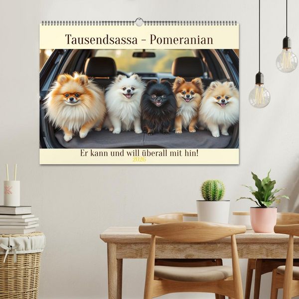 Produktbild: Tausendsassa - Pomeranian (Wandkalender 2026 DIN A2 quer), CALVENDO Monatskalender