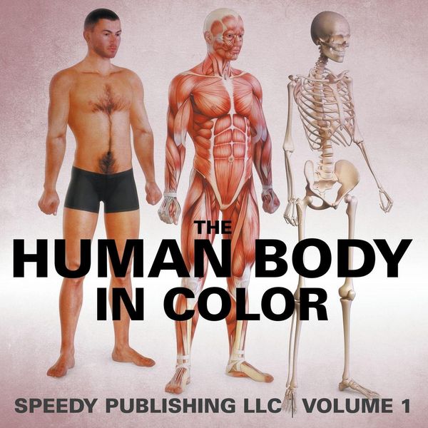 Produktbild: The Human Body In Color Volume 1