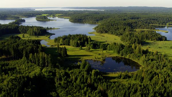 Produktbild: Terra X - Unsere W&auml;lder