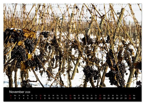 Produktbild: Das Jahr im Weinberg (hochwertiger Premium Wandkalender 2026 DIN A2 quer), Kunstdruck in Hochglanz