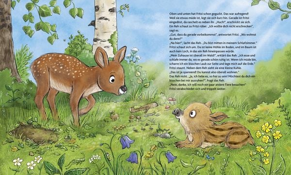 Produktbild: Wie wohnen die Waldtiere?