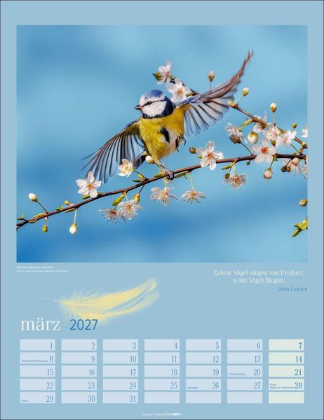 Produktbild: Heimische V&ouml;gel Kalender 2027