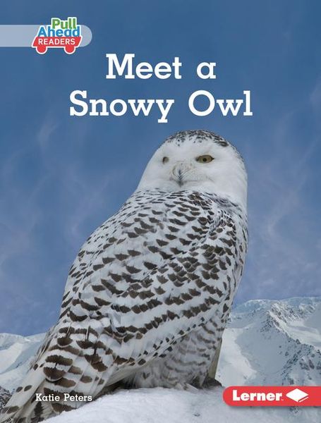 Produktbild: Meet a Snowy Owl