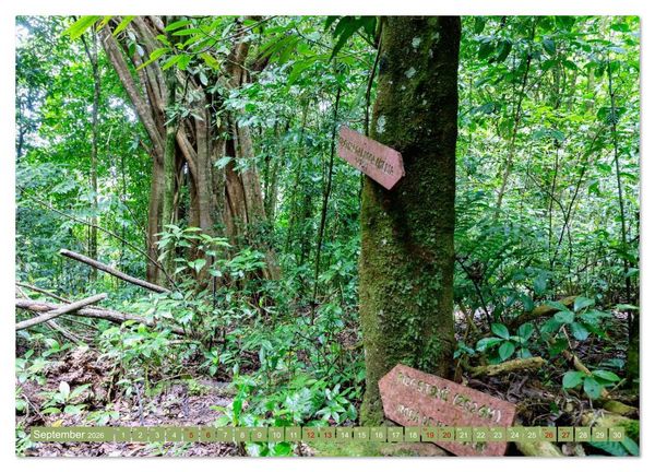 Produktbild: Sao Tome. Paradiesinsel vor der K&uuml;ste Westafrikas (Wandkalender 2026 DIN A4 quer), CALVENDO Monatskalender