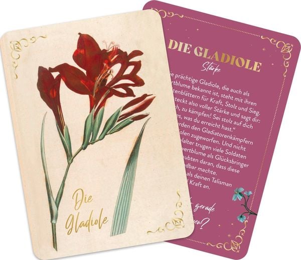 Produktbild: Die geheimnisvolle Sprache der Blumen &ndash; 50 Orakelkarten f&uuml;r das ganze Jahr