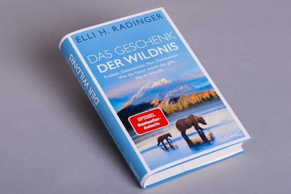 Produktbild: Das Geschenk der Wildnis